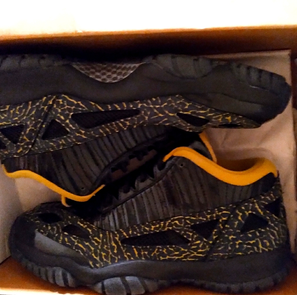 Air Jordan 11 retro low